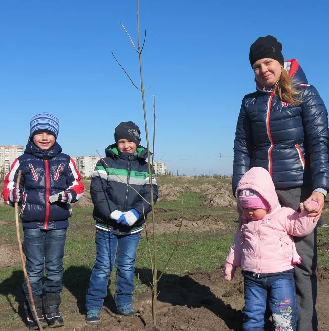 В парке “Таврический” сегодня опять садили деревья