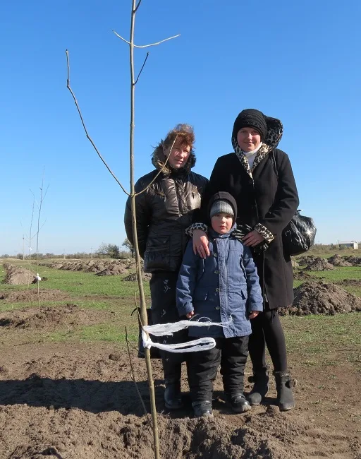 В парке “Таврический” сегодня опять садили деревья