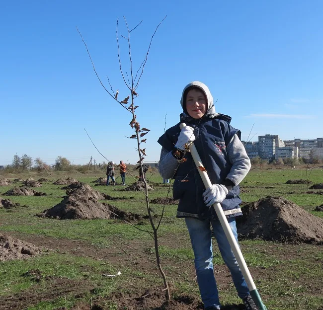 В парке “Таврический” сегодня опять садили деревья