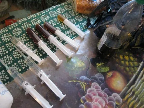Херсонские наркоманы больше не смогут купить опий из Николаева