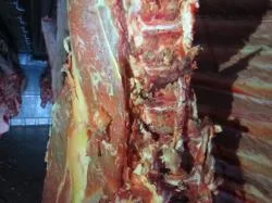 Оккупанты не пустили в Крым партию украинского мяса