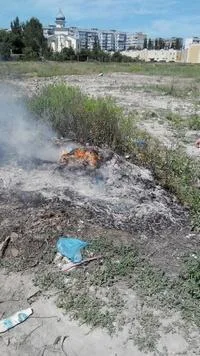 На Херсонщине горят сухостои