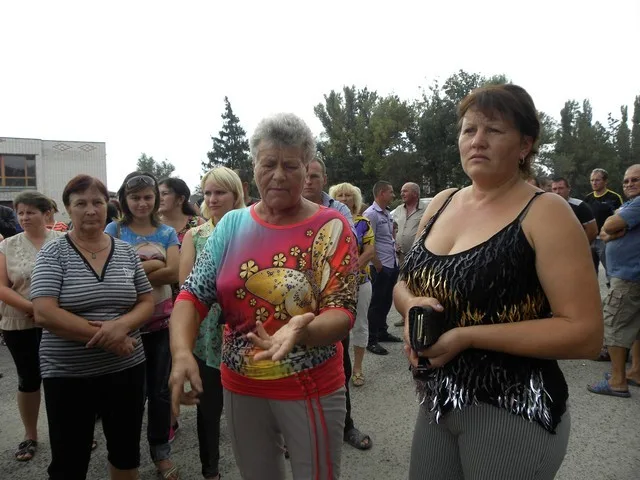 Херсонские фермеры в отчаянии – закупочная цена огурцов упала до 40 копеек
