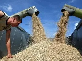 На Херсонщине закупщиков грабят прямо на зернотоке