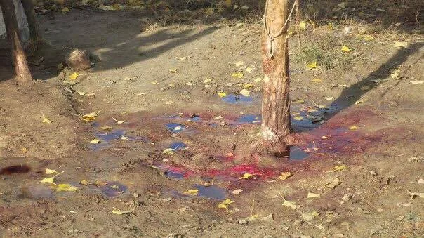Сепаратист Журавко окончательно сошел с ума