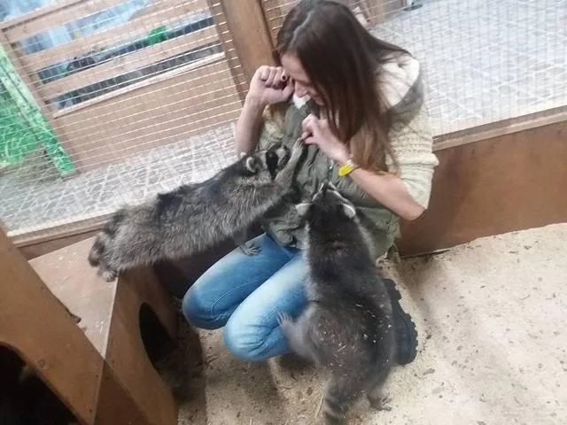 В Херсоне к концу декабря откроют страну “ЕНОТиЯ”