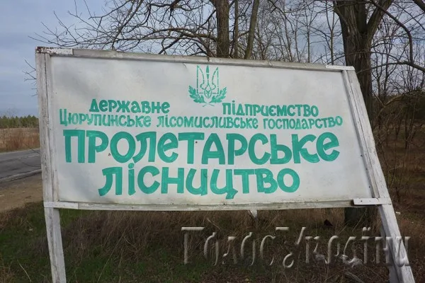 В пустыню… за дровами