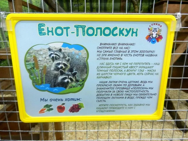 На ТРЦ “Фабрика” открылся контактный зоопарк “СТРАНА ЕНОТиЯ”