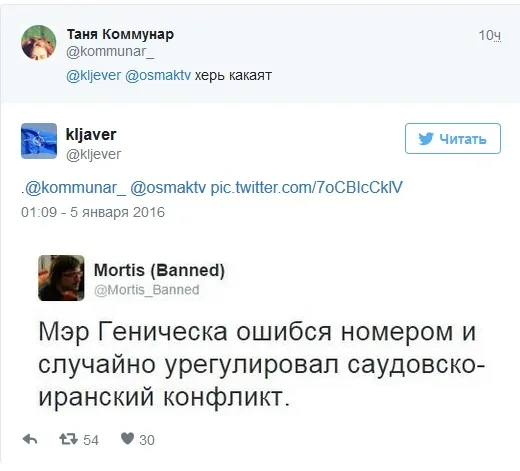 Наложил вето в СБ ООН: всемогущий мэр Геническа взорвал сеть мемами