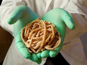 На Геническом рынке продается мясо с гельминтами