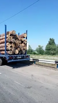 Депутаты облсовета предлагают ввести мораторий на вырубку лесных насаждений на Херсонщине