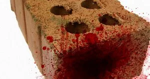 В Херсоне оперативники задержали психа, который до смерти забил пенсионерку кирпичом