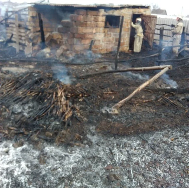 Уборка во дворе закончилась загоревшимся сараем с курятником