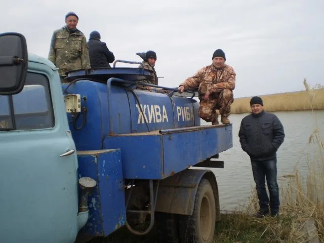 В пруды возле Благовещенки выпустили 10 тонн мальков белого амура, толстолобика и карпа