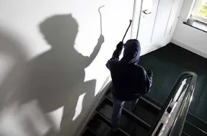 В Цюрупинске домушник вынес из дома женщины телевизор и дубленку