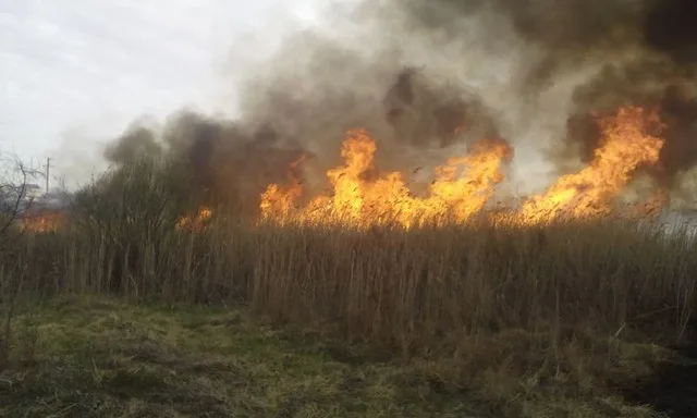 За сутки в Херсонской области произошло 5 пожаров в экосистемах