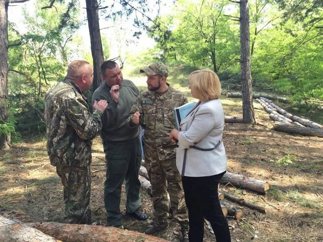 Под Цюрупинском уничтожают лес в промышленных масштабах