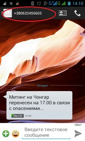 Журналистам в Геническе рассылают ложные сообщения о переносе митинга