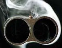 В Зеленовке брат стрелял в брата из-за клочка земли