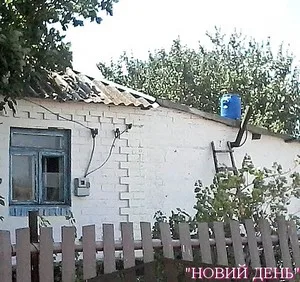 Яд бросили посреди поля…