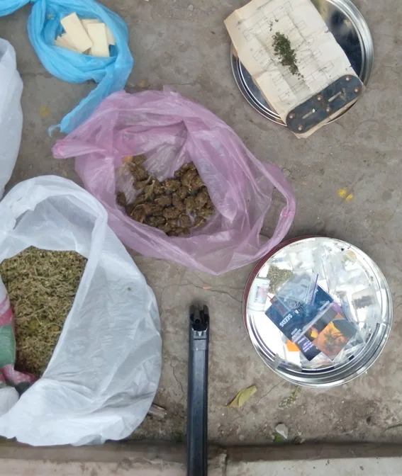 В Херсоне семья нотариуса переквалифицировалась в наркоплантаторов