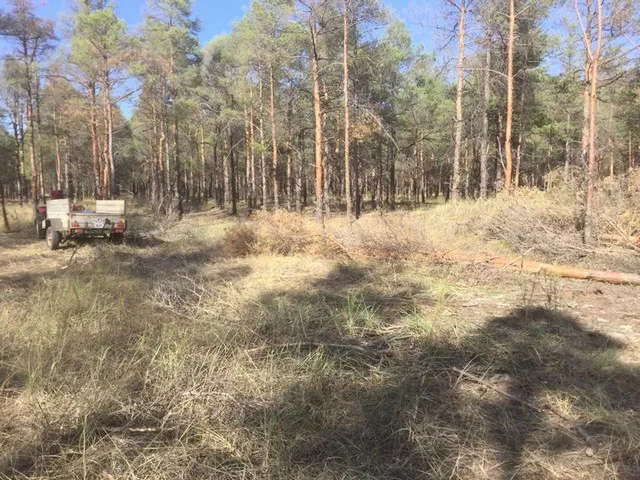На Херсонщині боротьба з лісовими браконьєрами увійшла в активну фазу