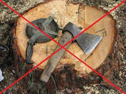 Херсонские силовики совещались по поводу борьбы с лесными браконьерами