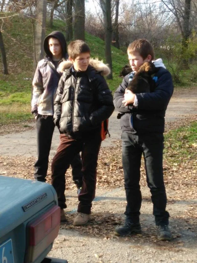 В Херсоне полиция расследует жестокое убийство животных