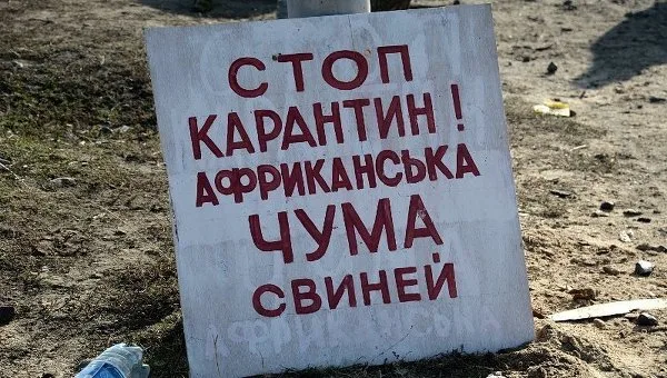 “Свинная чума”: вспышка за вспышкой
