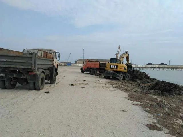 В Скадовске начали чистить пляж от водорослей