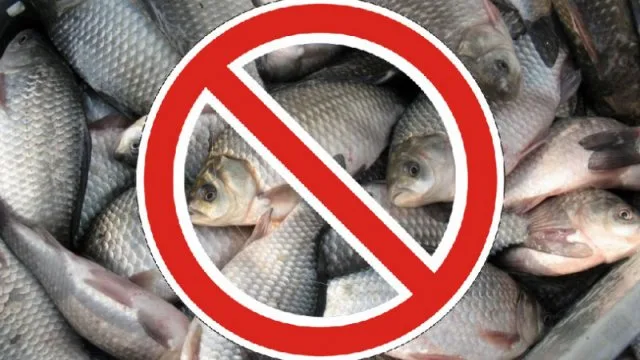 На Херсонщине вводят запрет на промышленный и любительский вылов биоресурсов