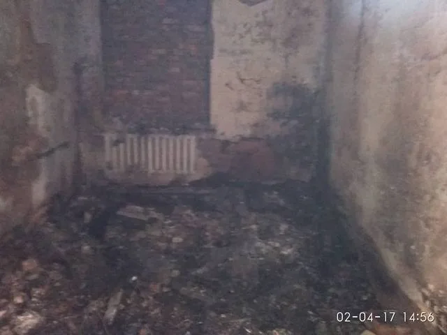 В Чаплынке местные жители спасают остатки сгоревшего музея