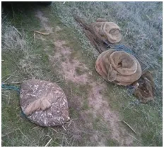 Пограничники обнаружили браконьеров с уловом на 165 тысяч гривен