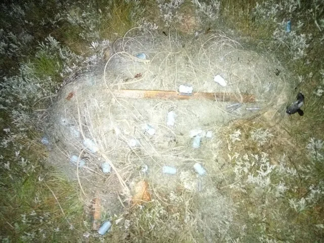 Пограничники обнаружили браконьеров с уловом на 165 тысяч гривен