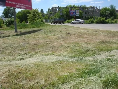 На Таврическом магазин стройматериалов обязали убрать “склад” с тротуара
