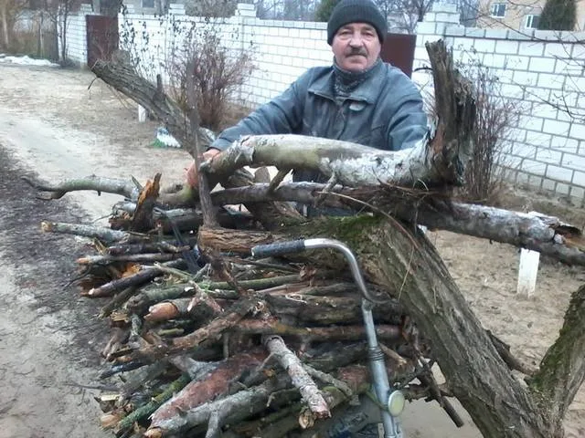 В Олешковском районе местные отчаялись ждать помощи и хотят за дровами в лес