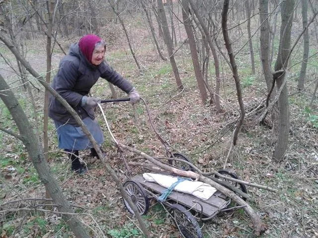 В Олешковском районе местные отчаялись ждать помощи и хотят за дровами в лес