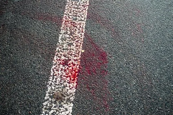 В Олешках женщина погибла под колесами автомобиля