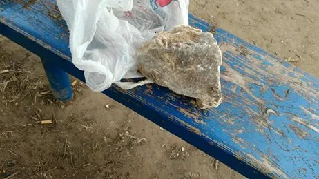На Херсонщине полицейские задержали мужчину, гулявшего в парке с бруском тротила