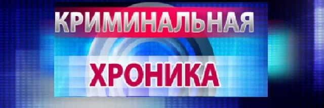 Криминальная хроника за сутки