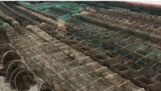 Водная полиция изъяла у браконьеров возле “Красной хаты” 20 тыс. раков