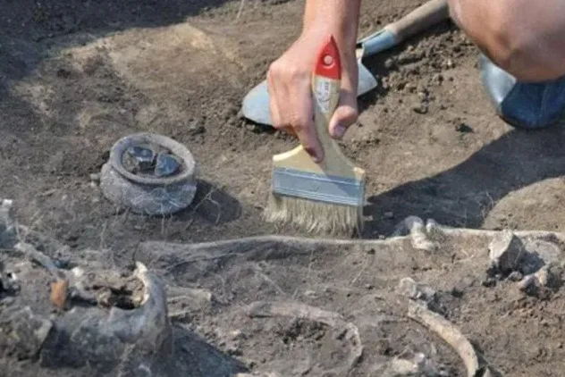 На Херсонщине будет еще один заповедник?