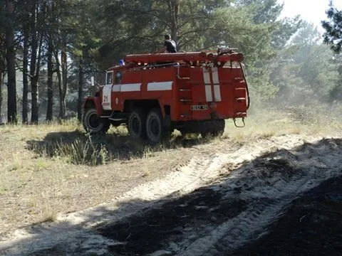 Департамент екології ХОГА стверджує, що ліси Херсонщини, надані в оренду, не відносяться до природно-заповідного фонду
