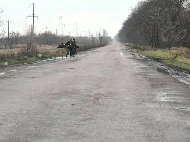 На Херсонщине местами практически полностью вырублены лесополосы