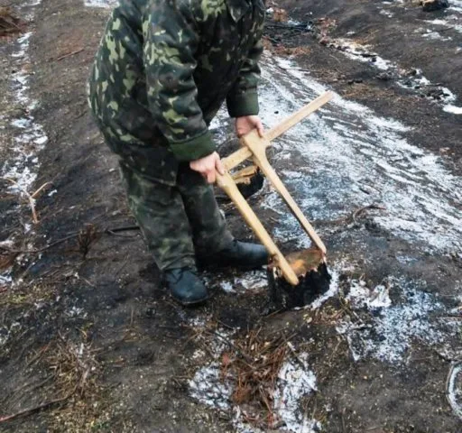 Экологи оперативно отреагировали на жалобу граждан