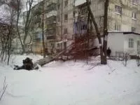 В Херсоне 20-метровый тополь рухнул на жилую пятиэтажку