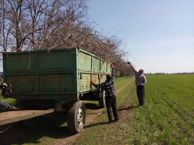 На Херсонщине неплательщики алиментов начали убирать улицы