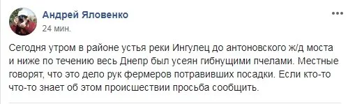 У Херсона весь Днепр усеян гибнущими пчелами, – соцсети