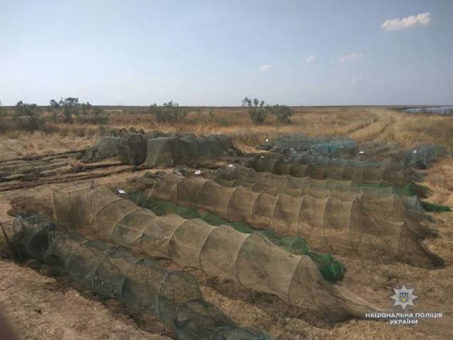 Херсонские полицейские задержали браконьеров, которые нанесли ущерб государству на 450 тысяч гривен