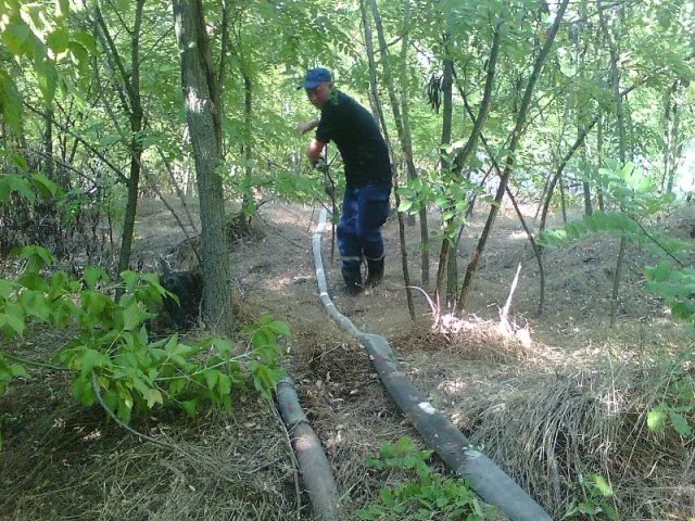Возле Большой Лепетихи потушили лесной пожар